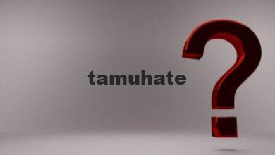 لماذا تحتاج الطيور التي لا تطير مثل النعامة إلى الريش؟