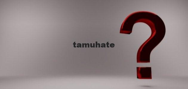 لماذا تحتاج الطيور التي لا تطير مثل النعامة إلى الريش؟