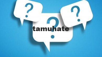 طرق فعالة لدعم انتشار الأعمال التجارية الصغيرة المحلية وتعزيزها