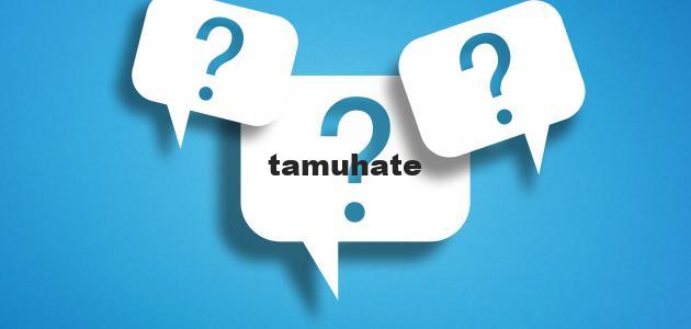 طرق فعالة لدعم انتشار الأعمال التجارية الصغيرة المحلية وتعزيزها