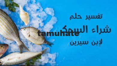 تفسير حلم شراء السمك في المنام