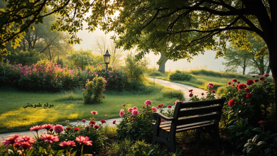 كيف بدي انبسط بحياتي